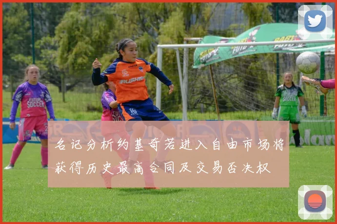 名记分析约基奇若进入自由市场将获得历史最高合同及交易否决权